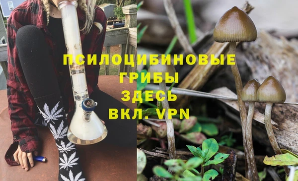 кокаин премиум Алексеевка
