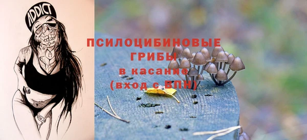 винт Аша