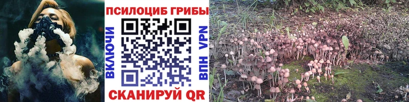 Псилоцибиновые грибы Cubensis  Уяр 